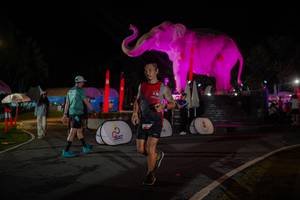 BIB: 
                            <button type="button" onclick="openModal(26552142)" class="btn btn-primary btn-sm float-right btn-popup" data-toggle="modal" data-target=".modal-high-quality">
                        <i class="fas fa-shopping-cart"></i> Add to Cart
                    </button>
                                            <button type="button" onclick="isThisMe(26552142, true)" class="btn btn-success btn-sm float-right btn-popup btn-isme hidden" data-toggle="tooltip" data-placement="bottom" title="นี่คือรูปของคุณใช่ไหม คลิกที่นี่เพื่อเอาเข้าอัลบั้ม">
                        <i class="fas fa-plus"></i> Add to album
                    </button>
                    <button type="button" onclick="isThisMe(26552142, false)" class="btn btn-warning btn-sm float-right btn-popup btn-isnotme hidden">
                        <i class="fas fa-ban"></i> Remove from album
                    </button>